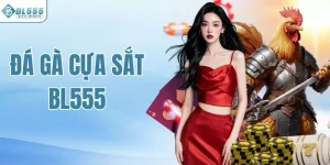 Đá gà cựa sắt BL555