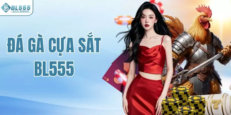 Đá gà cựa sắt BL555