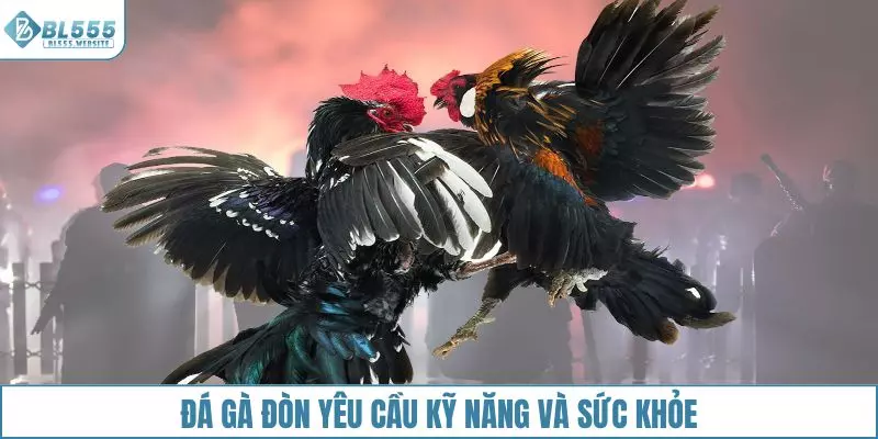 Đá gà đòn yêu cầu kỹ năng của chiến kê