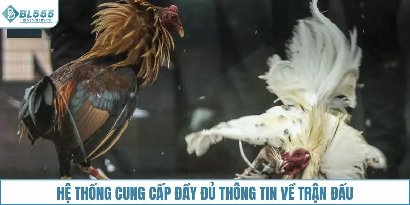 Hệ thống Bl555 sẽ cung cấp đầy đủ thông tin về trận đấu