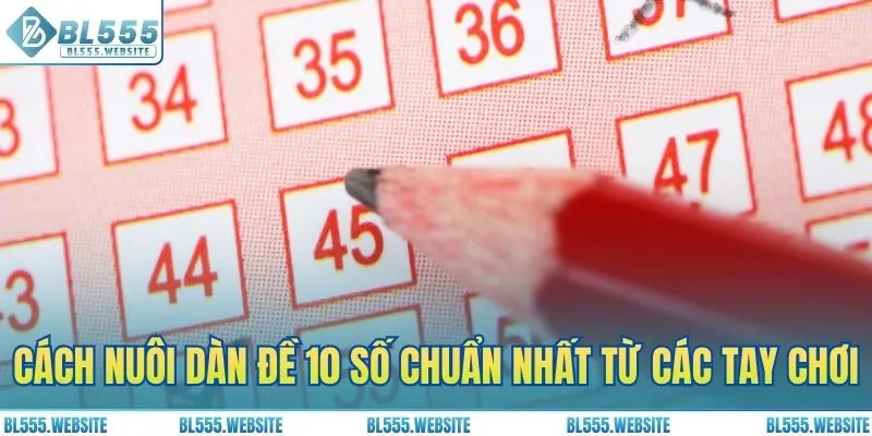 Cách nuôi dàn đề 10 số chuẩn nhất từ các tay chơi