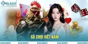 Gà Chọi Việt Nam: Sân Chơi Đá Gà Lôi Cuốn Hàng Đầu BL555